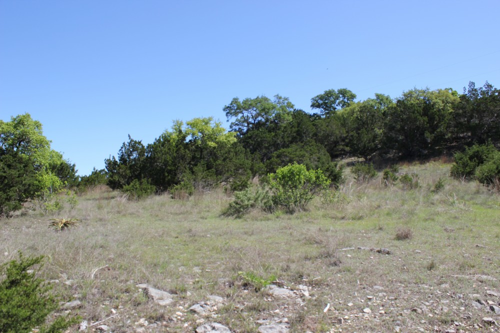 1348 Heimer Lange Rd,Spring Branch,Texas 78070,Land,Heimer Lange Rd,1012