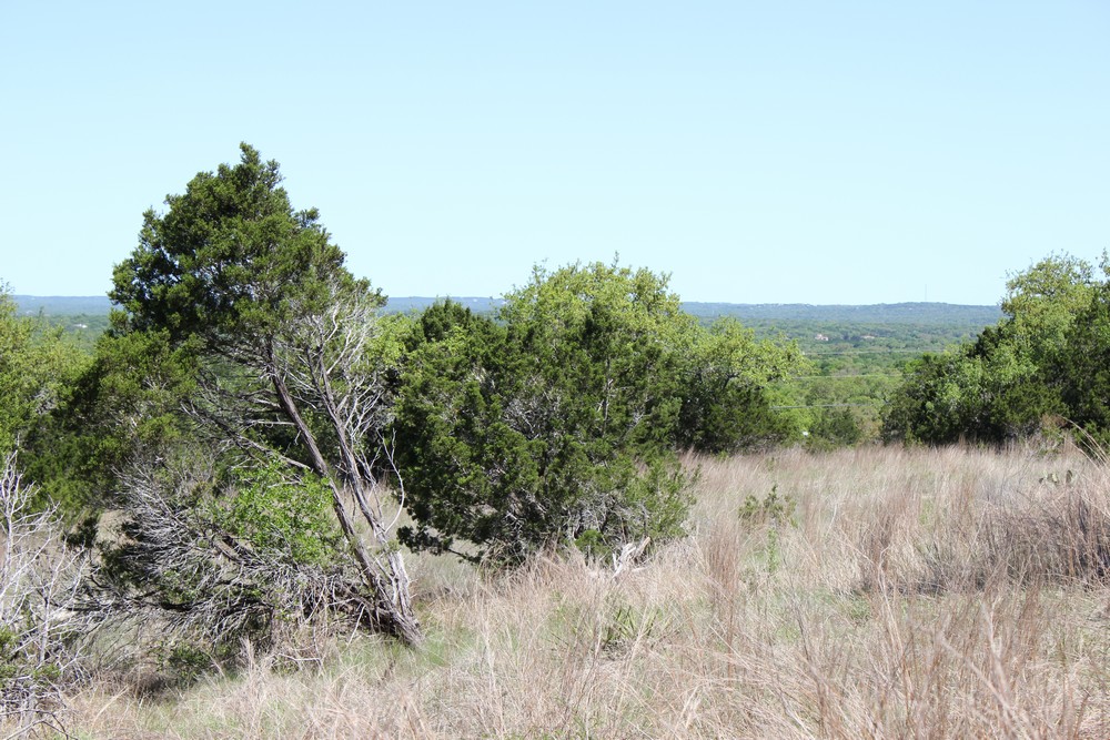 1348 Heimer Lange Rd,Spring Branch,Texas 78070,Land,Heimer Lange Rd,1012