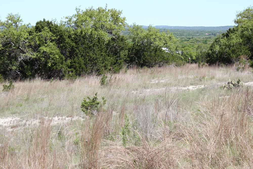 1348 Heimer Lange Rd,Spring Branch,Texas 78070,Land,Heimer Lange Rd,1012