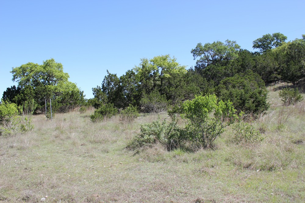 1348 Heimer Lange Rd,Spring Branch,Texas 78070,Land,Heimer Lange Rd,1012