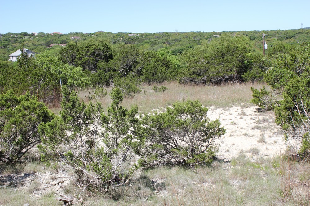 1348 Heimer Lange Rd,Spring Branch,Texas 78070,Land,Heimer Lange Rd,1012