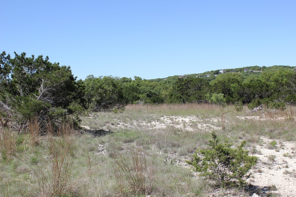 1348 Heimer Lange Rd,Spring Branch,Texas 78070,Land,Heimer Lange Rd,1012