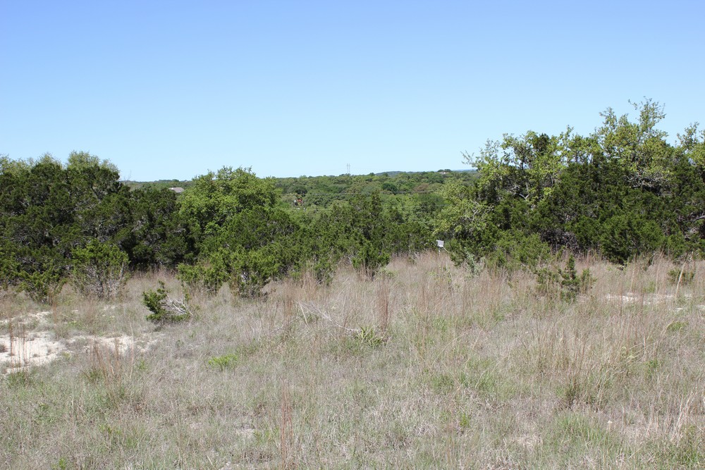 1348 Heimer Lange Rd,Spring Branch,Texas 78070,Land,Heimer Lange Rd,1012