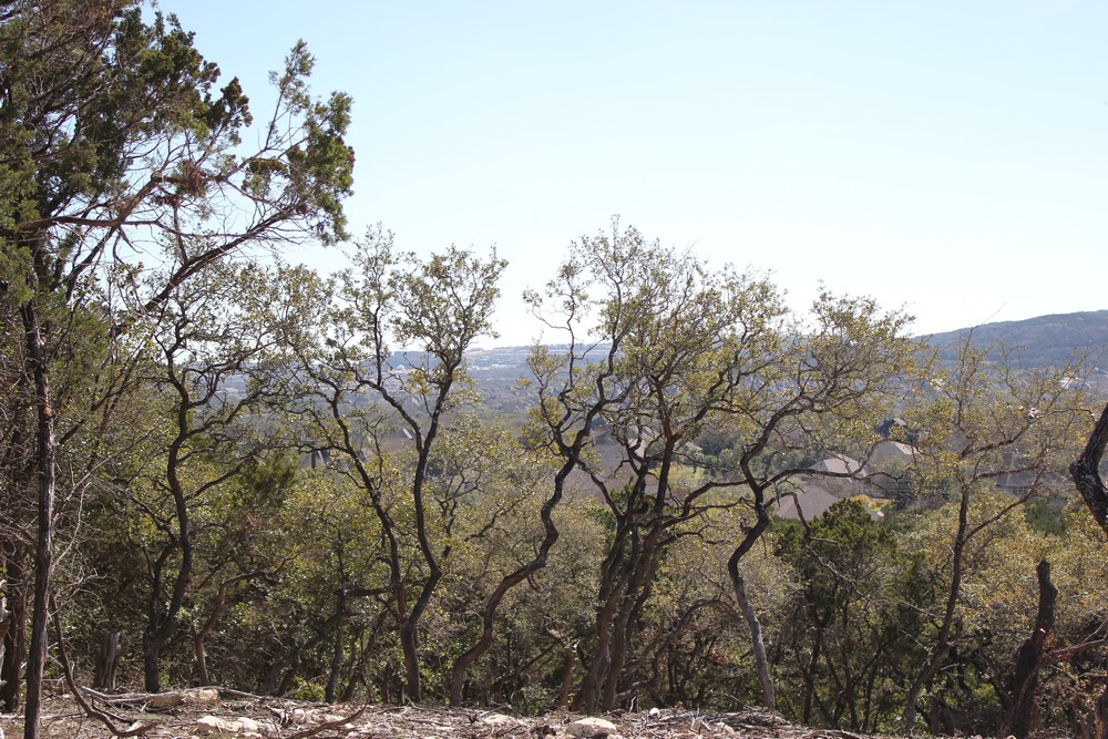 00 Cielo Vista,San Antonio,Texas 78257,Land,Cielo Vista,1014