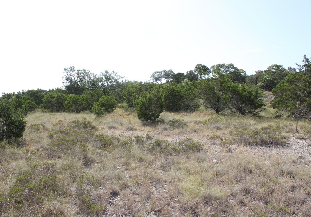Lots 45 & 46 Las Campanas & Clubs Dr,Boerne,Texas 78006,Land,Las Campanas & Clubs Dr,1017