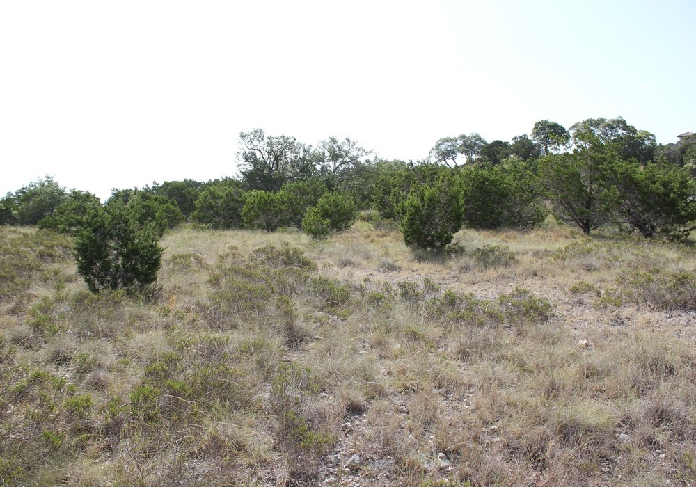 Lots 45 & 46 Las Campanas & Clubs Dr,Boerne,Texas 78006,Land,Las Campanas & Clubs Dr,1017