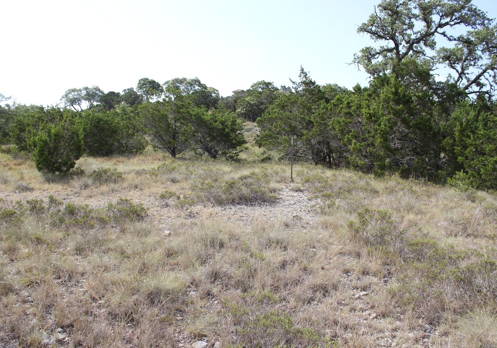 Lots 45 & 46 Las Campanas & Clubs Dr,Boerne,Texas 78006,Land,Las Campanas & Clubs Dr,1017