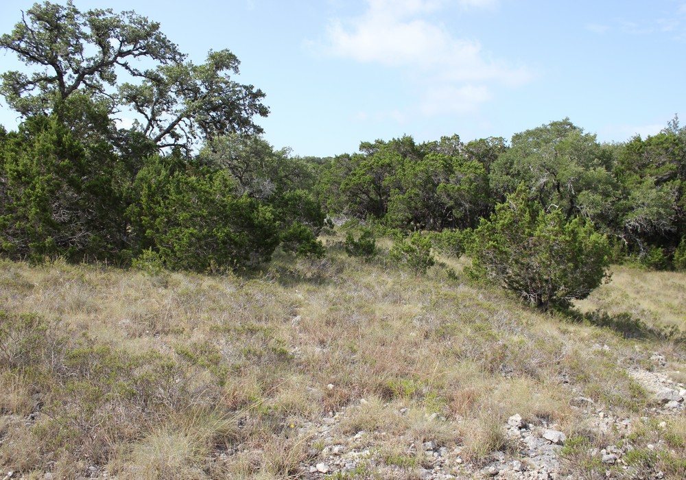 Lots 45 & 46 Las Campanas & Clubs Dr,Boerne,Texas 78006,Land,Las Campanas & Clubs Dr,1017