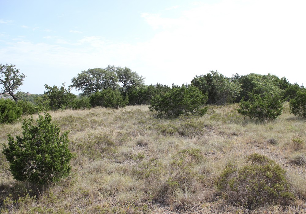 Lots 45 & 46 Las Campanas & Clubs Dr,Boerne,Texas 78006,Land,Las Campanas & Clubs Dr,1017