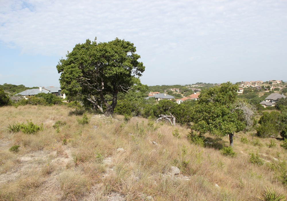 Lots 45 & 46 Las Campanas & Clubs Dr,Boerne,Texas 78006,Land,Las Campanas & Clubs Dr,1017